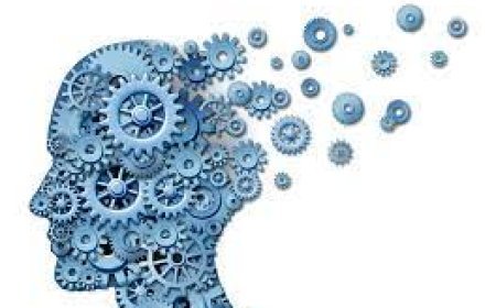 'Image' is supposed to be the most important component that contributes in building the Intellectual Property Value