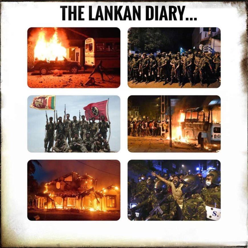 The Lankan Diary